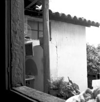 Em primeiro plano beiramar de janela, segundo plano vista de uma casa antiga, uma gaiola com pássaro, uma pia, vaso com plantas ornamentais e no terceiro plano árvore.